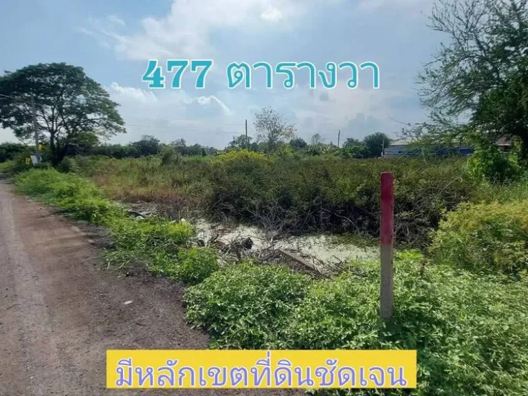 ขายขาดทุน ที่ดินแปลงมุม 477 ตารางวา ซอยโรงเรียนบ้านคลองฝรั่ง อไทรน้อย