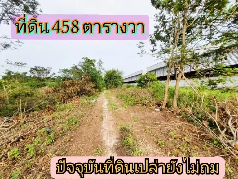 ขายขาดทุน ที่ดินติดถนน 4 เลน เนื้อที่ 458 ตารางวา แปลงมุมใกล้สี่แยกไทรน้อย