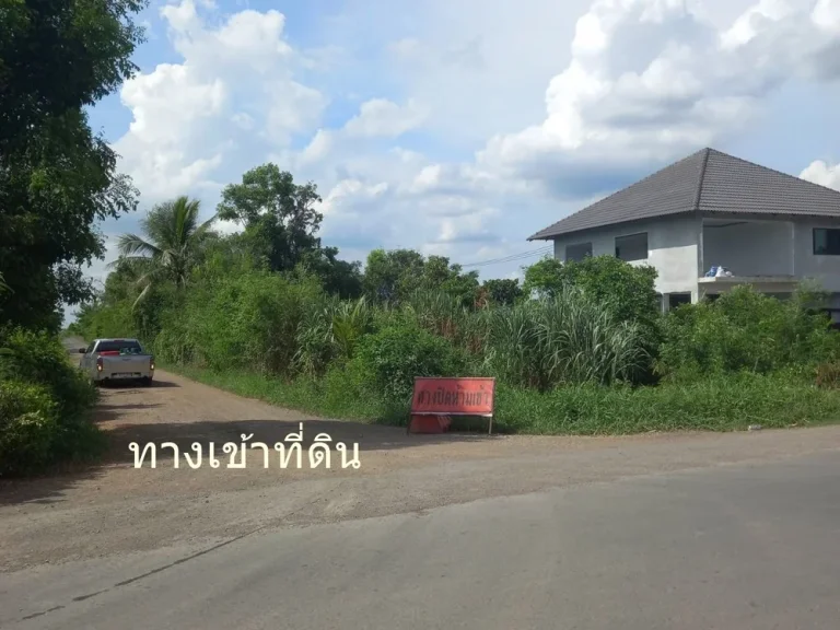 ขายที่ดิน 50 ตรว ตศีรษะกระบือคลอง 23 องค์รักษ์ 120000 บาท