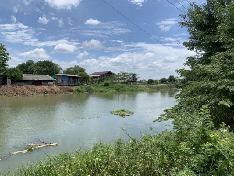 ขายที่ดิน ถนนโยธาธิการ ด้านหลังติดคลองโยง ติดหมู่บ้านศรีสุภาลัย บ้านใหม่ บางใหญ่ นนทบุรี