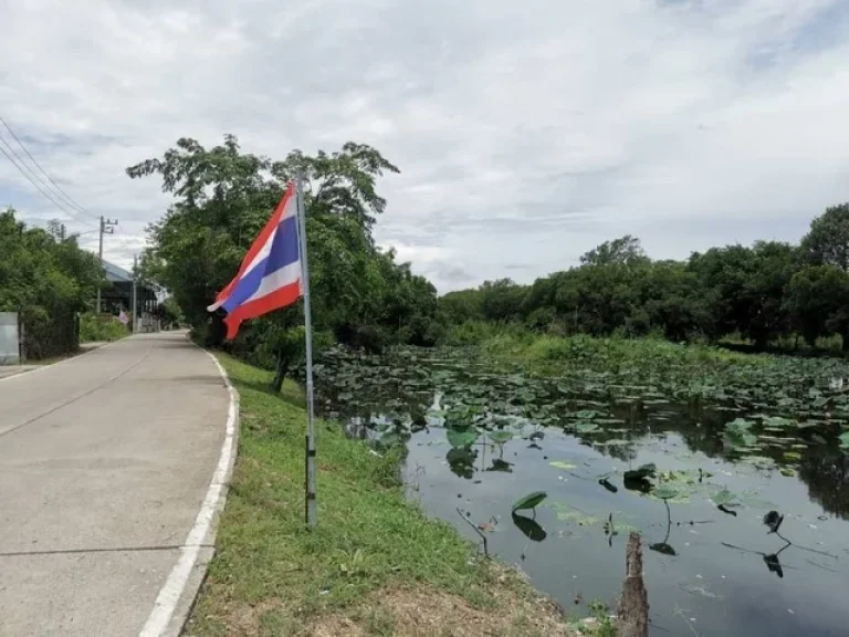 ขายที่ดินบรรยากาศบ้านสวนสมัยโบราณมีคลองน้ำอยู่หน้าบ้าน ซอยวัดเปรมประชา3 บางพูน ปทุมธานี