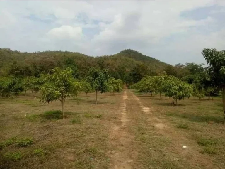 โซนลำพูน ศรีบัวบาน อำเภอเมือง จลำพูน ตำบล ศรีบัวบาน อเมือง ลำพูน