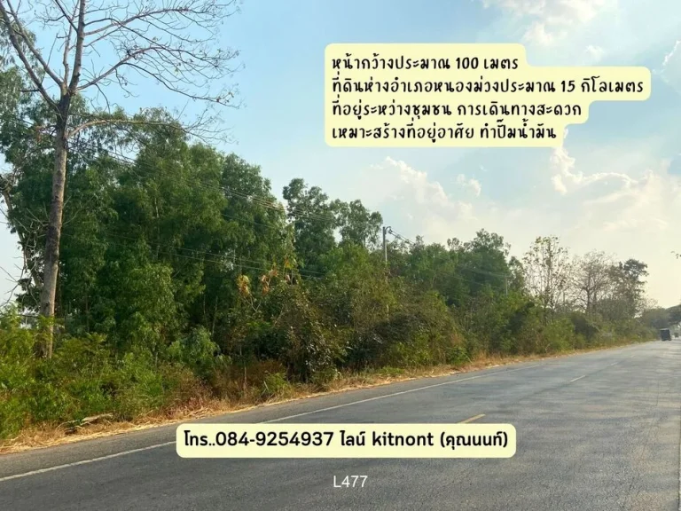 ขายที่ดินลพบุรี - ขายที่ดินหนองม่วง 2 ไร่ 1 งาน 10 ตรวโฉนด ไร่ละ 490000 บาท