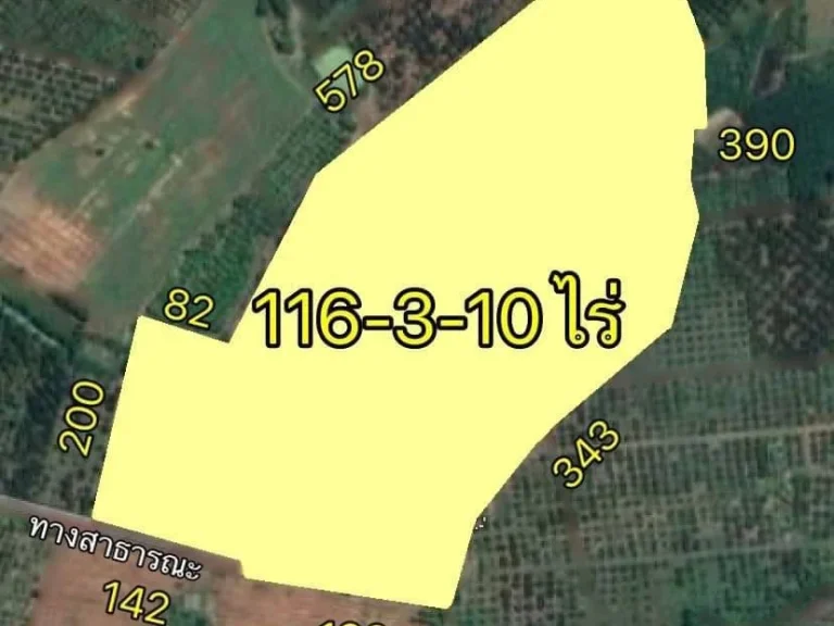 ขายสวนทุเรียน ลิ้นจี่ ลำไย 116-3-10 ไร่ ใกล้ที่ว่าการอำเภอสอยดาว จันทบุรี