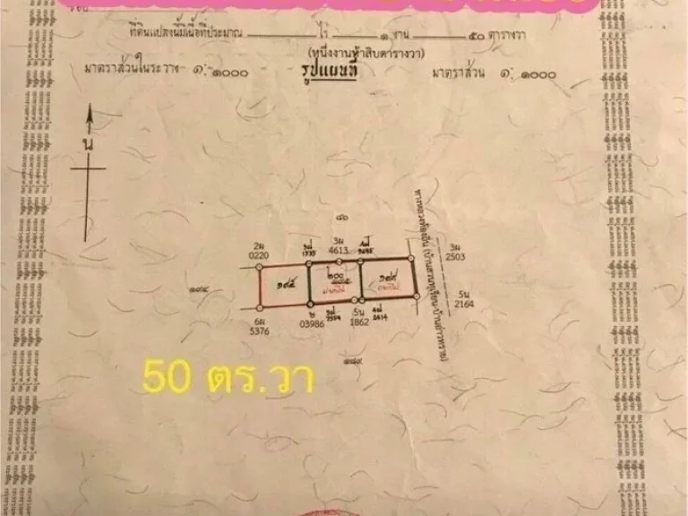 ที่ดิน หลังบ้าน รศ83 ใกล้ คุ้มไทรงาม เกาะยอ สงขลา