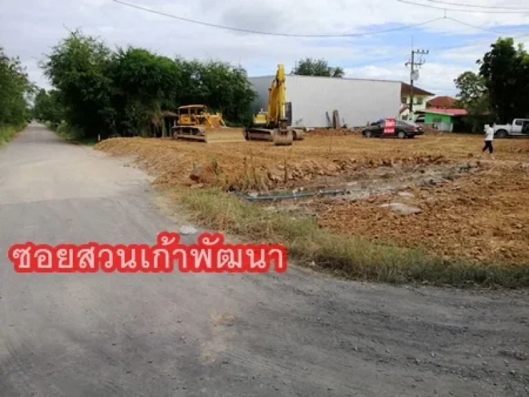 ที่ดินลำลูกกา ที่ดินลำลูกกาให้เช่า ที่ดินติดถนนลำลูกกาคลอง 9