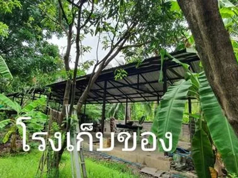 ขายบ้านพร้อมที่ดิน ถนนสุขุมวิท 1011 ซวชิรธรรม 43 มี 4 หลัง เนื้อที่ 1 ไร่ 130 ตรว