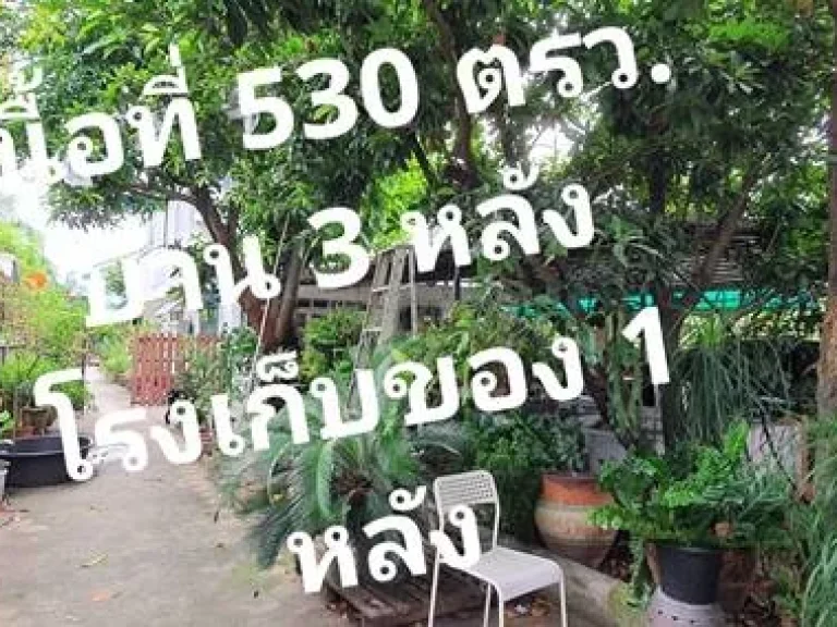 ขายบ้านพร้อมที่ดิน ถนนสุขุมวิท 1011 ซวชิรธรรม 43 มี 4 หลัง เนื้อที่ 1 ไร่ 130 ตรว