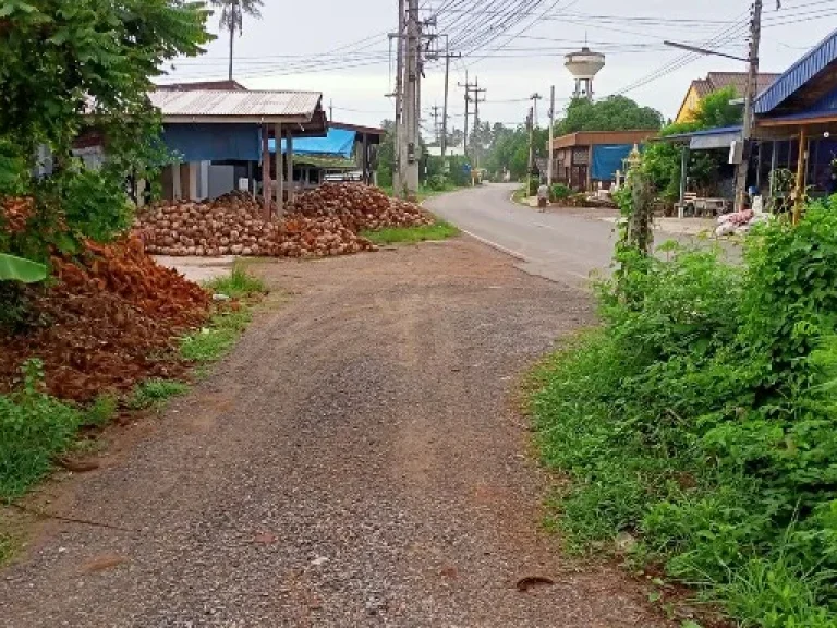 ขายที่ดินสวนส้มโอ ติดถนน มีรถโดยสารวิ่งผ่าน อำเภออัมพวา จังหวัดสมุทรสงคราม