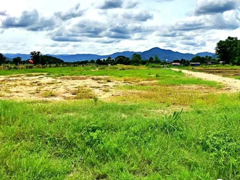 ขายที่ดินวิวเขาสวยๆ ใกล้ถนนสันกำแพงสายใหม่ ตำบลแช่ช้าง อำเภอสันกำแพง