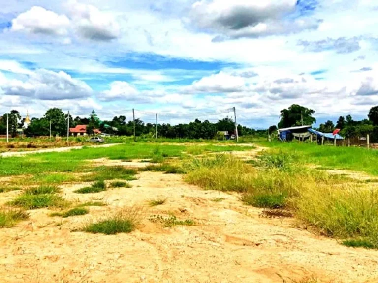 ขายที่ดินวิวเขาสวยๆ ใกล้ถนนสันกำแพงสายใหม่ ตำบลแช่ช้าง อำเภอสันกำแพง