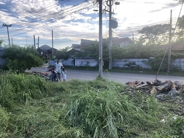 ขายที่ดินในตัวเมือง ตท่าบ่อ อท่าบ่อ จหนองคาย ตรงข้ามทางเข้าโลตัสท่าบ่อ