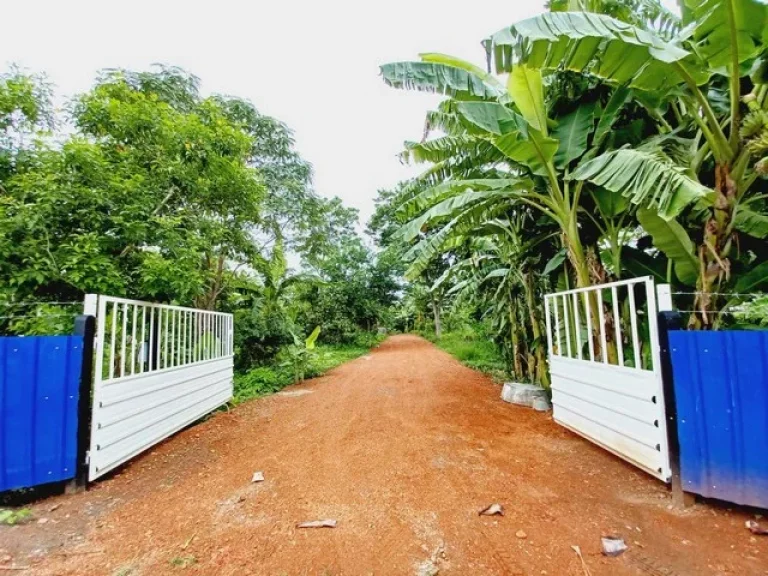 ขายที่ดินติดแม่น้ำป่าสัก แก่งคอย สระบุรี 1 ไร่กว่าๆ บรรยากาศดี เหมาะทำเป็นบ้านสวน อยู่ใกล้แหล่งชุมชน