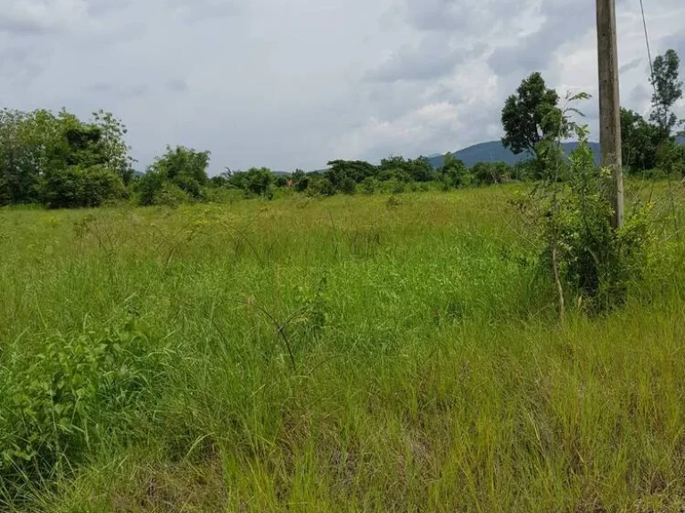 ขายที่ดินเปล่า ตำบลหนองขาม อำเภอเมือง จังหวัดลำพูน