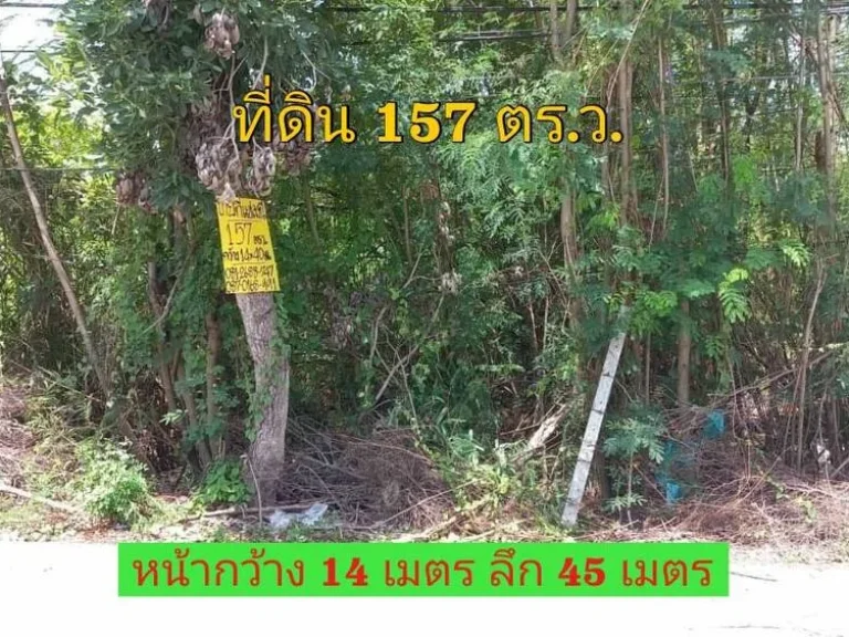 ขายด่วน ที่ดิน 157 ตารางวา ซอยเจียมเจริญ ตบางคูรัด อบางบัวทอง จนนทบุรี