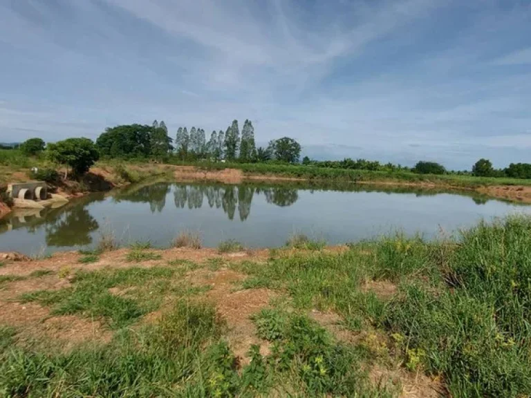 ขายที่ดิน ทำเลสวย ตำบลบ้านใหม่ อำเภอท่าม่วง กาญจนบุรี