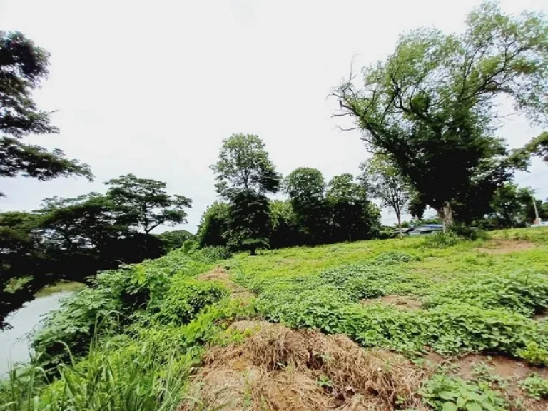 ขายที่ดินติดแม่น้ำป่าสัก แก่งคอย สระบุรี 2 ไร่กว่า บรรยากาศวิวดี เหมาะทำร้านกาแฟ หรือ ทำรีสอร์ท