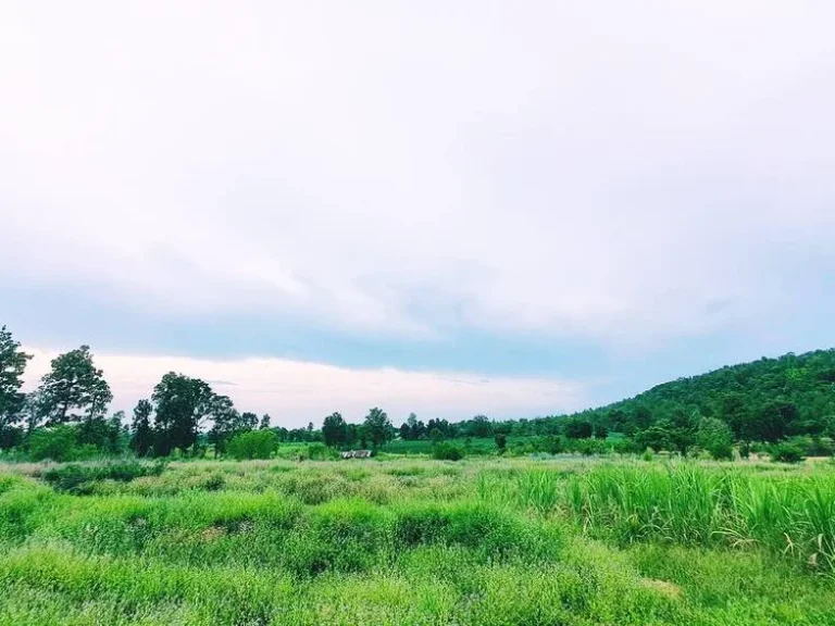 ขายที่ดินติดภูเขากาฬสินธุ์ สหัสขันธ์ ใกล้ภูสิงห์วิวสวยจริงๆ ที่โฉนดหน้ากว้างติดถนนราว308เมตร ใกล้ถนนใหญ่ ไม่ไกลจากตัวเมือง 48 ไร่ราคาแค่7ล้าน หายากมาก