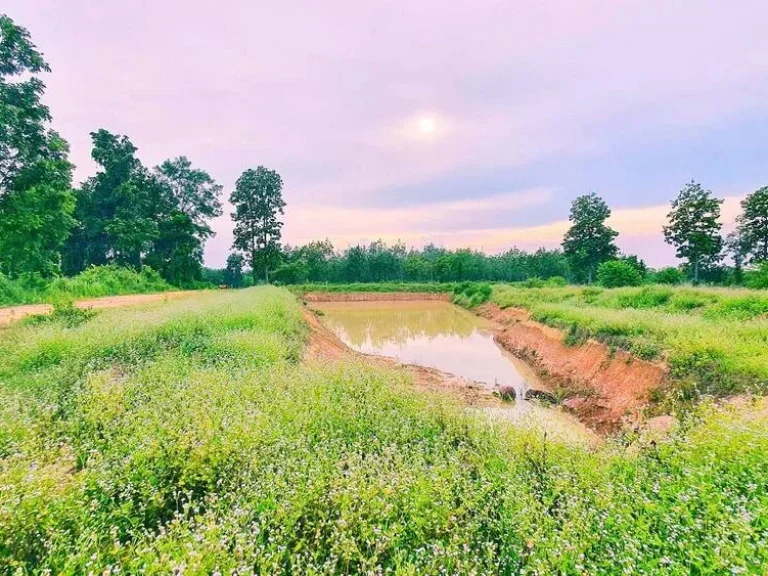 ขายที่ดินติดภูเขากาฬสินธุ์ สหัสขันธ์ ใกล้ภูสิงห์วิวสวยจริงๆ ที่โฉนดหน้ากว้างติดถนนราว308เมตร ใกล้ถนนใหญ่ ไม่ไกลจากตัวเมือง 48 ไร่ราคาแค่7ล้าน หายากมาก