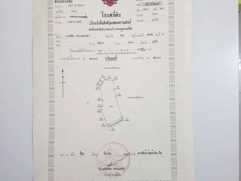 ขายด่วนที่ดินสวนปาล์ม 14ไร่ วิวทะเลแหลมทราย อถลาง ภูเก็ต