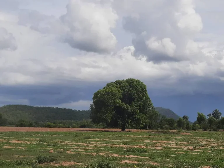 ขายที่ดิน 2ไร่ มีโฉนด ติดถนนคอนกรีต อห้วยกระเจา จกาญจนบุรี