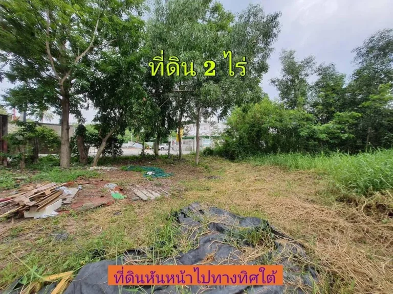 ขายถูก ที่ดินคลองห้า 2 ไร่ ติดถนนคอนกรีตสาธารณะ ซคลองห้าตะวันออก 28 อคลองหลวง