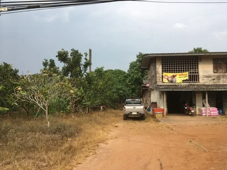 ให้เช่าที่ดินพร้อมบ้านมีต้นผลไม้ในพื้นที่ ที่ติดถนนสุขุมวิท แสนตุ้ง เขาสมิงตราด 56ไร่