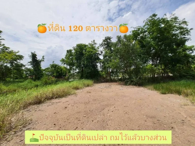 ขายด่วน ที่ดินคลองเก้า 120 ตารางวา เหมาะสร้างบ้านampโกดัง ติดถนนลาดยางสาธารณะ ซอยบึงบอน 18 อหนองเสือ