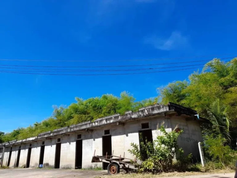 ที่ดินติดแม่น้ำ 3 ไร่กว่า ที่ดินปราจีนบุรี ที่ดินประจันตคาม หมู่บ้านตำบลบ้านหอย 3 ใกล้วัดเกาะแดง ตำบลเกาะลอย