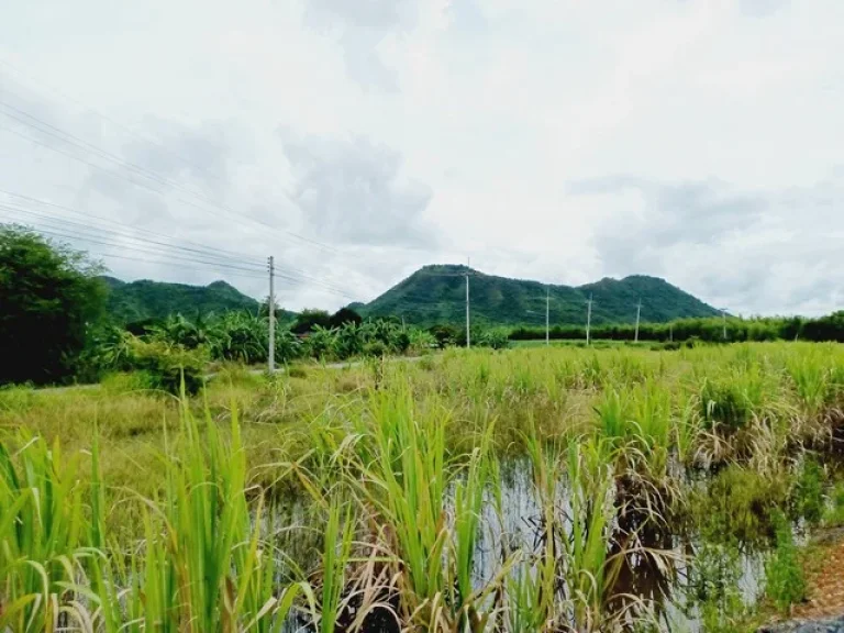 ขายที่ดินติดถนนลาดยาง ท่าม่วง กาญจนบุรี 3 ไร่ เห็นวิวภูเขา เห็นวิววัดถ้ำเสือไกลๆ เหมาะสร้างบ้าน