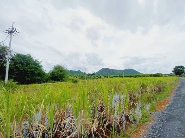 ขายที่ดินติดถนนลาดยาง ท่าม่วง กาญจนบุรี 3 ไร่ เห็นวิวภูเขา เห็นวิววัดถ้ำเสือไกลๆ เหมาะสร้างบ้าน