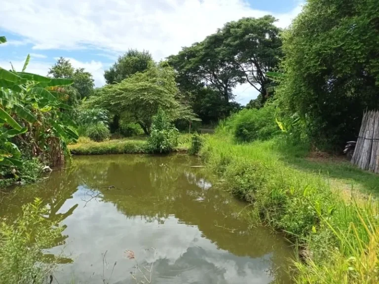 ขายที่หางดง ที่ดินติดถนน ใกล้ ปตทน้ำแพร่ เหมาะสำหรับทำบ้านจัดสรร เนื้อที่ 8-1-59 ไร่ ตน้ำแพร่ อหางดง จเชียงใหม่