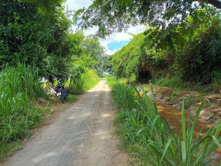 ขายที่หางดง ที่ดินติดถนน ใกล้ ปตทน้ำแพร่ เหมาะสำหรับทำบ้านจัดสรร เนื้อที่ 8-1-59 ไร่ ตน้ำแพร่ อหางดง จเชียงใหม่