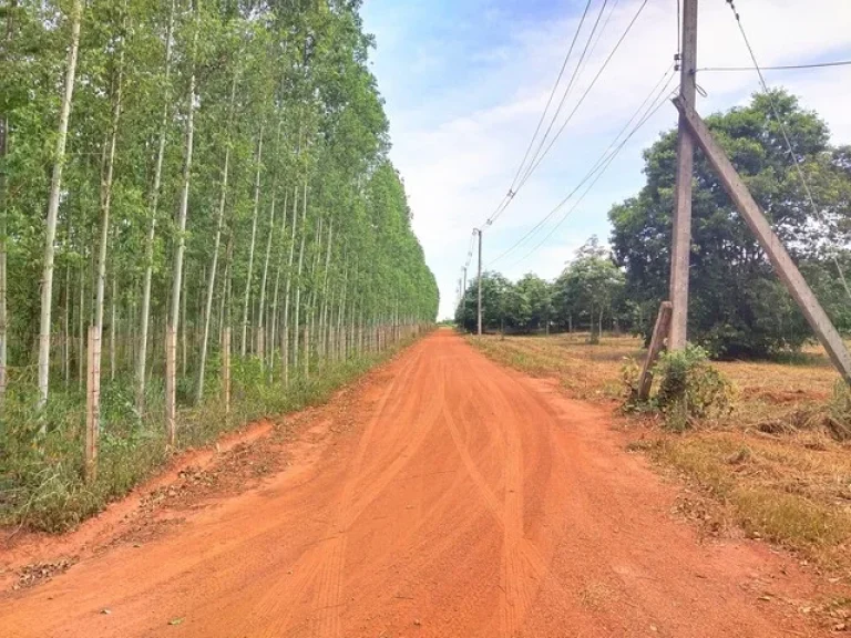 ขายที่ดินถมแล้ว 27-3-14 ไร่ มีบ้านพัก น้ำไฟฟ้าพร้อม ติดถนนเส้น 3017-170 เมตร ลาดกระทิง จฉะเชิงเทรา