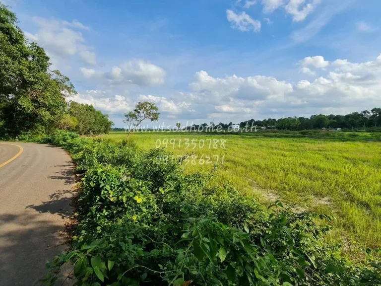 ขายที่ดิน 36 ไร่ 2 งาน 99 ตรว ตหนองแสง อประจันตคาม จปราจีนบุรี