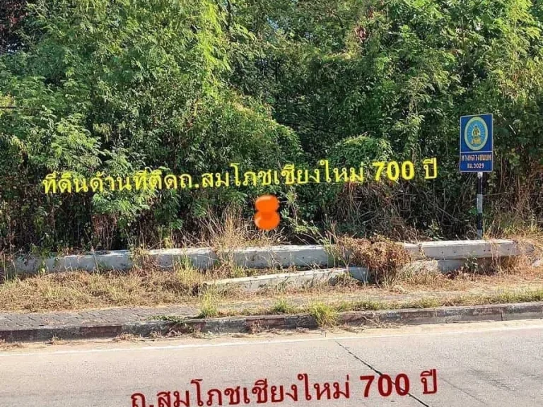 ขายที่ดินผังส้ม 14-0-89 ไร่ ติดถนนซุปเปอร์ไฮเวย์ อเมือง จเชียงใหม่