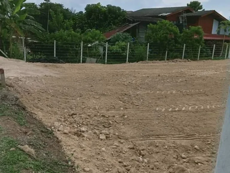 ขายที่ดินสันทรายแม่แฝกใหม่ใกล้ตลาดสดถนนลาดยางพร้อมโอน