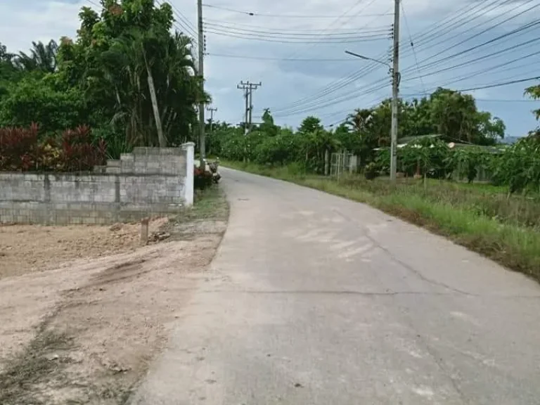 ขายที่ดินสันทรายแม่แฝกใหม่ใกล้ตลาดสดถนนลาดยางพร้อมโอน