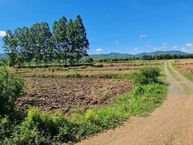 ที่ดินแบ่งแปลงเล็ก วิวเขา เพชรบูรณ์ บ้านสะแกงาม ตห้วยใหญ่ อเมืองเพชรบูรณ์