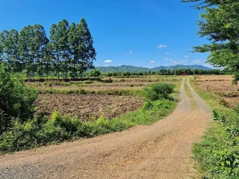 ที่ดินแบ่งแปลงเล็ก วิวเขา เพชรบูรณ์ บ้านสะแกงาม ตห้วยใหญ่ อเมืองเพชรบูรณ์