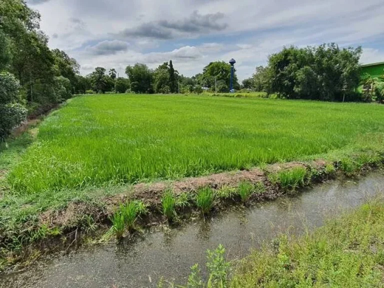 ขายที่ดิน เหมาะสำหรับทำบ้านสวน องครักษ์คลอง 16 อำเภอองครักษ์ นครนายก