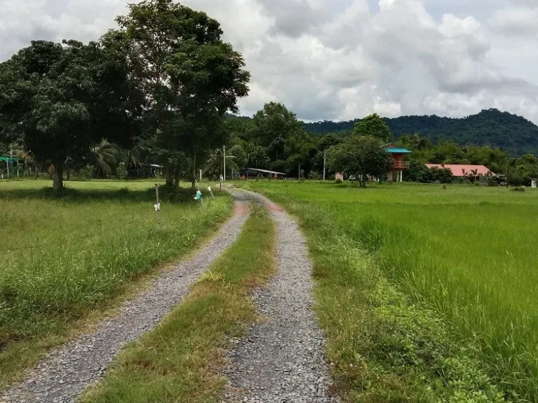 แบ่งขายที่ดินโฉนด มองเห็นวิวเขา บรรยากาศดี ราคาถูก