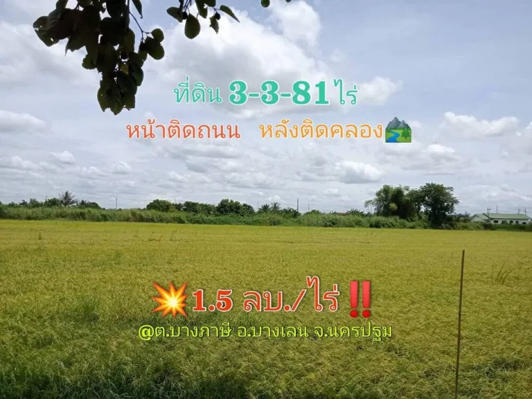 ขายด่วน ที่ดินติดคลอง 3-3-81 ไร่ หน้าติดถนนคอนกรีตสาธารณะ หลังติดคลองรางไทร ตบางภาษี อบางเลน