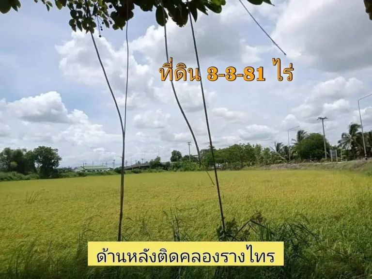 ขายด่วน ที่ดินติดคลอง 3-3-81 ไร่ หน้าติดถนนคอนกรีตสาธารณะ หลังติดคลองรางไทร ตบางภาษี อบางเลน