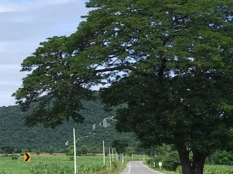 ที่ดิน ติดถนนลาดยาง วิวภูเขา น้ำไม่ท่วม ตพระนอน อเมืองนครสวรรค์