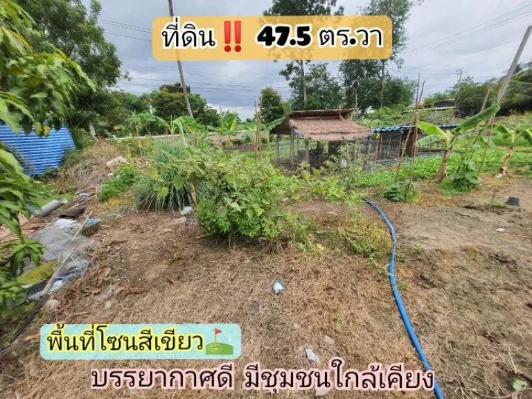 ขายด่วน ที่ดินสร้างบ้านสวน 475 ตาราง ซอย ปลากระเบน ตขุนศรี อไทรน้อย