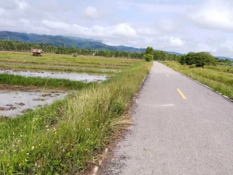 ขายที่ดิน พะเยา สายเชียงราย-พะเยา แม่ใจ 6 ไร่ ราคาดี ด่วน