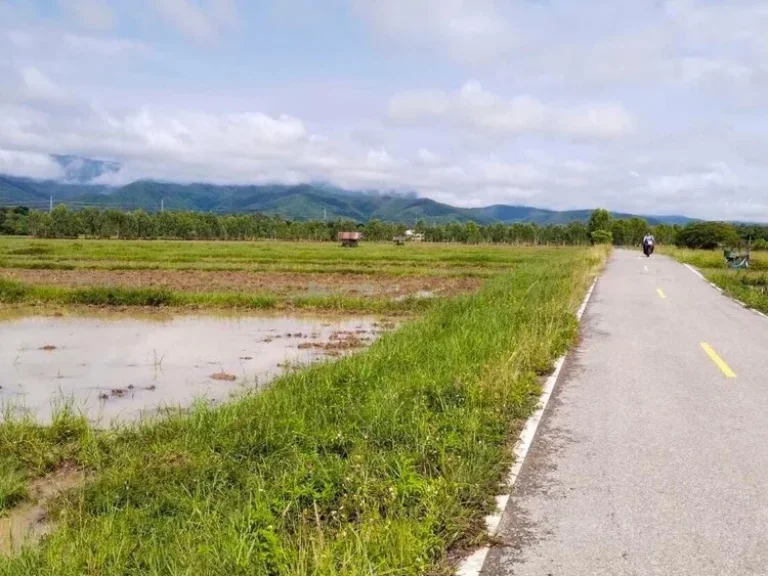 ขายที่ดิน พะเยา สายเชียงราย-พะเยา แม่ใจ 6 ไร่ ราคาดี ด่วน