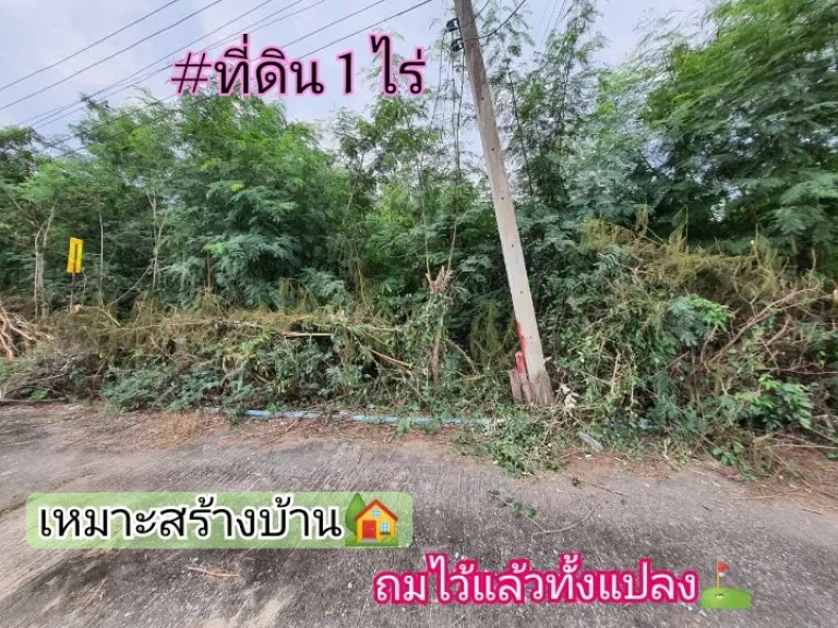 ขายถูก ที่ดินบัวปากท่า 1 ไร่ 13 ลบถมไว้แล้วทั้งแปลงเหมาะสร้างบ้าน อบางเลน