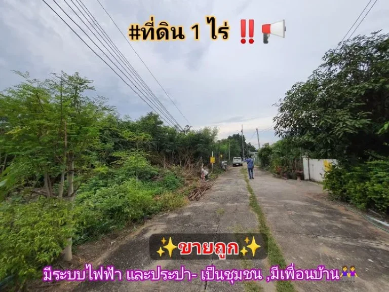 ขายถูก ที่ดินบัวปากท่า 1 ไร่ 13 ลบถมไว้แล้วทั้งแปลงเหมาะสร้างบ้าน อบางเลน